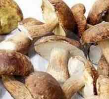 Savjeti: koliko kuhati različite vrste gljiva