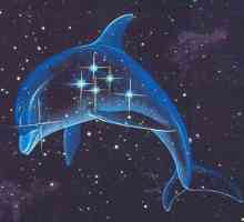 Constellation Dolphin - mala, ali zanimljiva