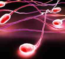 Sperma slijedi: ako ometa oplodnju?