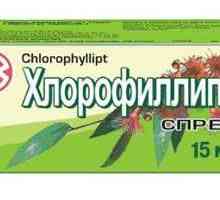 Sprej "hlorofillipt" - efikasno sredstvo za liječenje grla