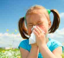 Sredstva od alergija za djecu. Šta su oni?