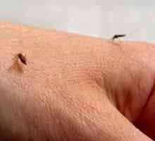 Protiv komaraca za dojenčad. Pregledi protiv komaraca na djecu mlađu od godinu dana