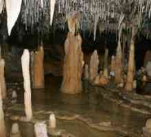 Stalagmita i stalaktita: metode obrazovanja, razlike i sličnosti