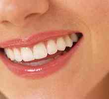 Struktura zuba: anatomske finese povezani da funkcioniše