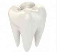 Struktura ljudskih zuba: shema i opis