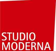 "Studio Moderna" (Ltd.). Recenzije zaposlenih