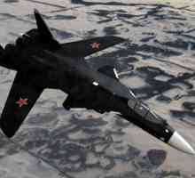 Su-47 "Golden Eagle": slike, svojstva. Zašto u neposrednoj blizini projekta?
