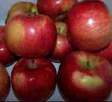 Sušenje jabuke u mikrovalnu za 5 minuta