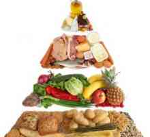 Dnevno norma masti, proteina i ugljikohidrata (obračun stola)