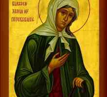 Holy Xenia u Sankt Peterburgu. Molitva joj - moćan odbranu porodičnih vrijednosti