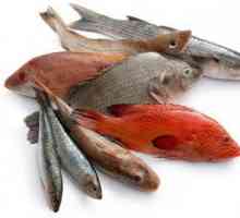 Svojstva, najbolji recepti, štete i koristi od ribe. Korištenje crvene ribe