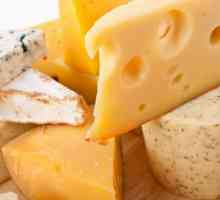 Proizvod sir - što je to? Ono što čini proizvod sir?