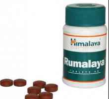 Tablete "Rumalayya": mišljenja, uputstvo za upotrebu, opis i sastav