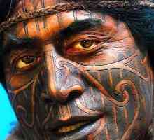 Tattoo "Maori": implikacije za pleme kako se prijaviti, kakva je razlika