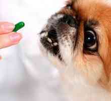 "Tetravit": uputstva za upotrebu za životinje. Vitamini za kućne ljubimce