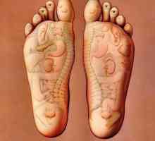 Ukazuje na stopalu koji su odgovorni za izvršenje. Akupunkturne tačke na stopalu