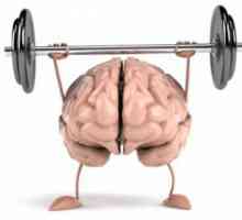 Brain Trening: vježbe. Trenirati mozak i memoriju
