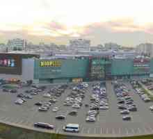 TRC "Arena" (Voronezh) kao grad socijalnu komponentu