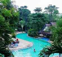 Tropical Park Pattaya, najzeleniji gradski hotel
