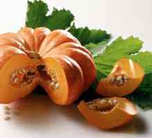 Pumpkin medom za liječenje jetre - metoda, vremenski testirane