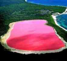 Amazing Australija: Hiller - roze jezera sa slanom plažama
