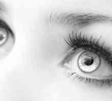 Amazing ljudskog oka: Struktura i funkcija