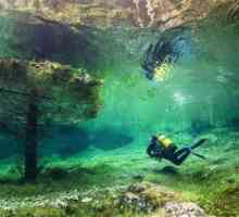 Jedinstvena Green Lake: podvodni svijet usred Austrije
