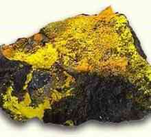 Urana rude. Kako izvući rude uranijuma. Urana rude u Rusiji
