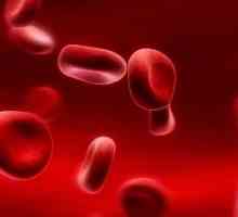 Nivo hemoglobina u krvi: norma i patologija