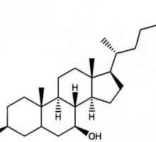 Ursodeoxycholic kiselina: uputstva za upotrebu, analoga, recenzije