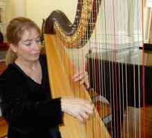 Uređaj glazbenih instrumenata kao strings harfu?
