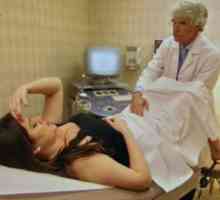 Ultrazvuk maternice: vrste i indikacije za