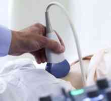 Ultrazvuk slezene i jetre: funkcije pripreme, studija, dekodiranje