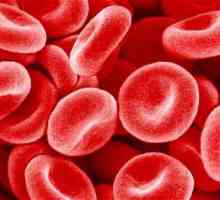 U analizi RDW krvi podiže ili spušta - šta to znači?