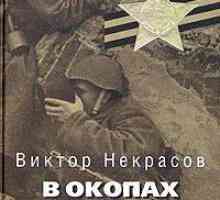 "U rovovima Staljingrada": sažetak poglavlja, analiza