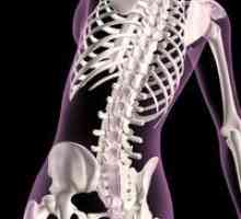 Važno je znati ime mobilne veze kostiju