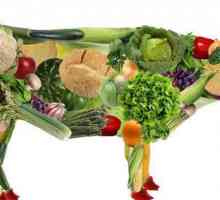 Vegetarijanac - a ... vegane i vegetarijance: kontrast, navike hranjenja i zanimljivosti
