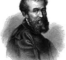 Veliki Michelangelo: slika i biografija