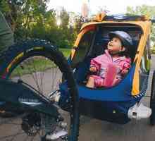 Prikolica bicikl za dijete - pouzdan asistent kada putuju s djecom