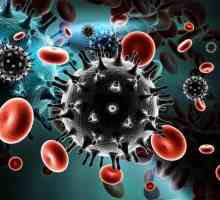 HIV: dijagnostiku i liječenje, prevencija
