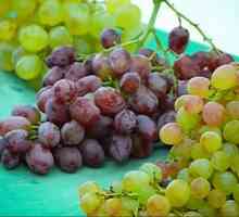 Sultana grožđe: prednosti i štete od voća usjeva