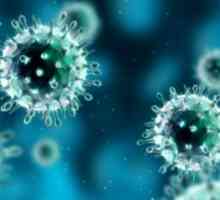Virus H1N1: Simptomi, liječenju i prevenciji