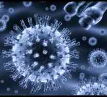 Virusne infekcije Epstein-Barr: relevantnost, epidemiologija, klinička slika, liječenje