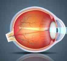 Vitamin kapi za oči - što je bolje za glaukom, miopije. Koji su najbolji vitamin kapi za oči djece?