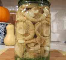 Delicious Belyanko (gljive): kako Pickle