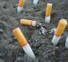 Efekt nikotina na ljudski organizam. O opasnostima od pušenja