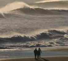 Waves: vrste talasa i definicija vala. Vrste elektromagnetskih i akustičnih talasa