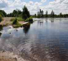 Voloyarvi - jezero u Lenjingradu regiji. Opis, ribolov, fotografija