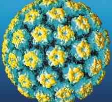 HPV kod žena: opasne posljedice širenja virusa