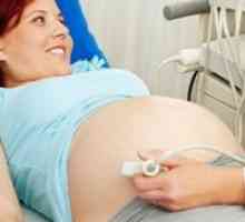 Da li ultrazvuk štetan za fetus u drugom trimestru?
